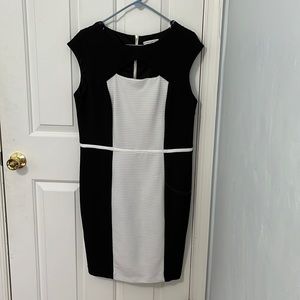 Size 14 Sandra Darren black and white dress